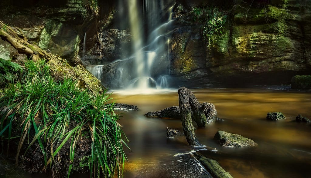 Wasserfilter und Pestizide: Gesundheitsschutz im Fokus 3 pexels photo 5037137