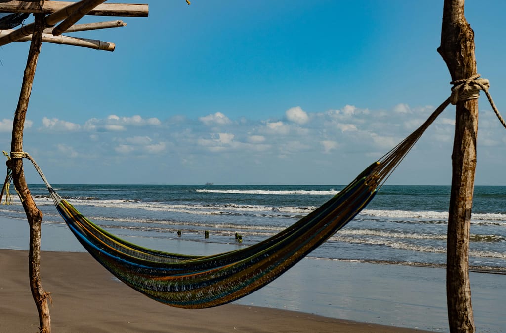 Neuromusik: Wissenschaft und Vorteile für Entspannung 3 pexels photo 15349728