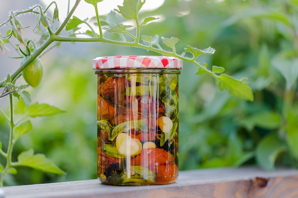  S‬chnelle vegetarischen Rezepte