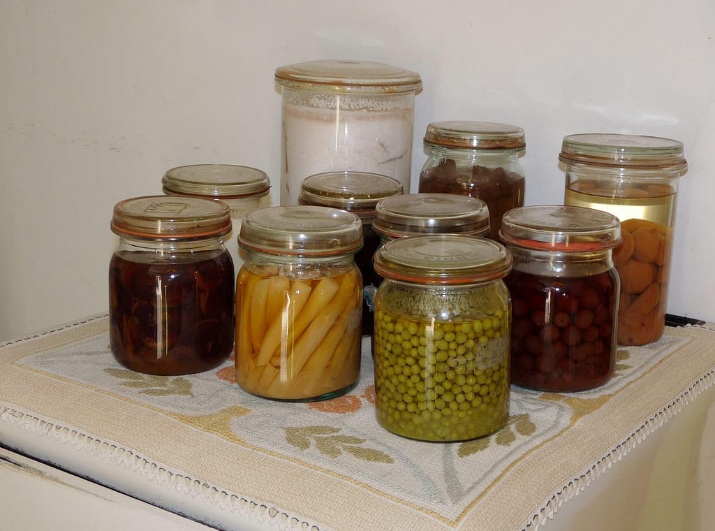Fermentation