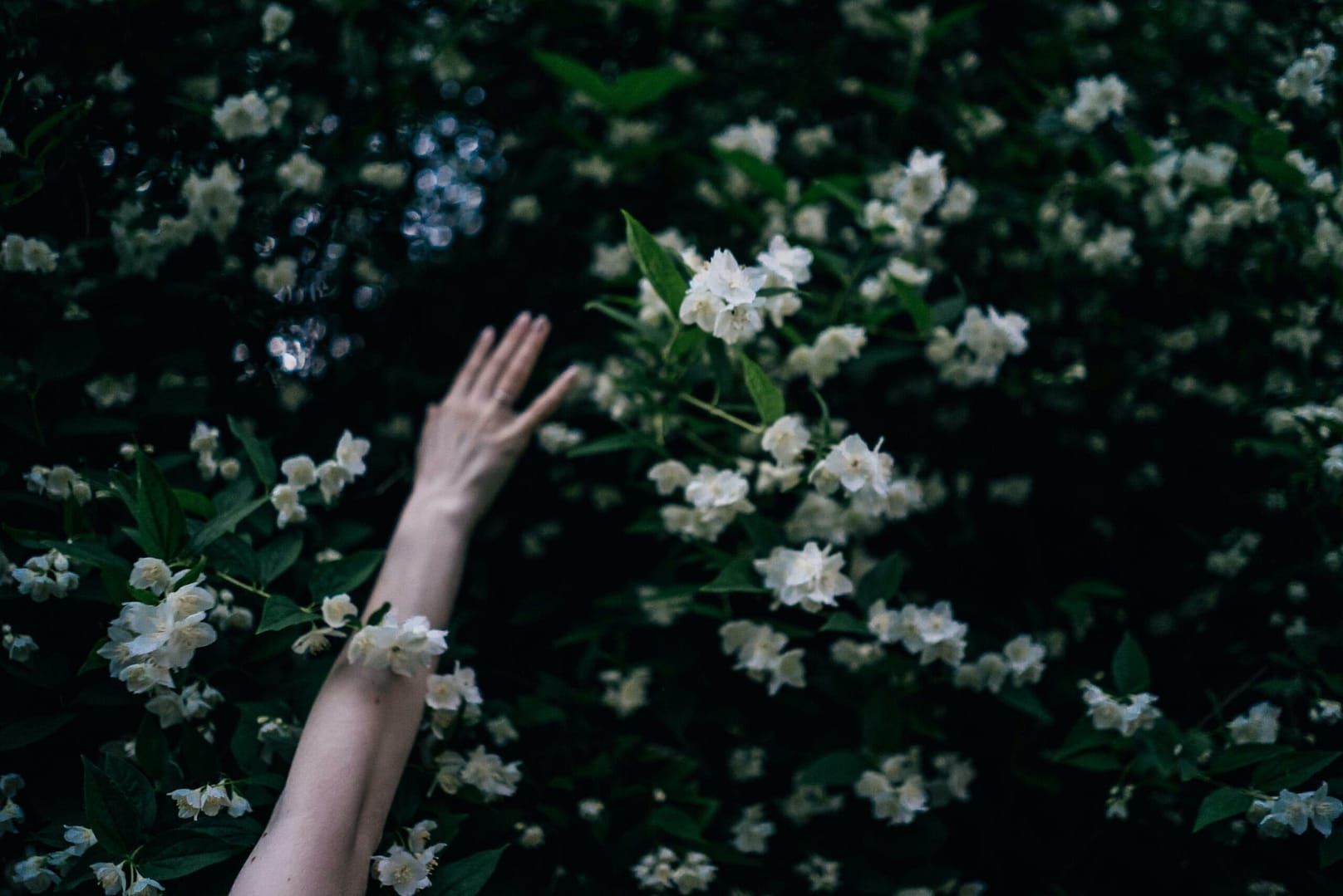 Die Kunst der Lebensfülle: Wege zur inneren Erfüllung und Glückseligkeit 4 Personen Hand Auf Weißen Blumen