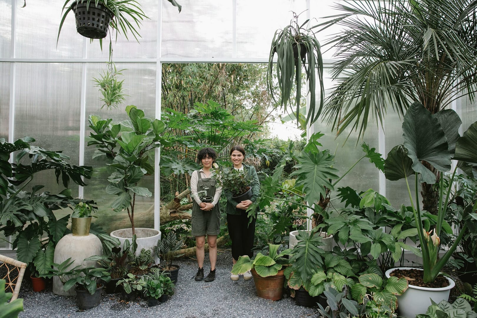 Die Kunst der materiellen Anziehung: Wege zu Reichtum und Erfolg 4 Kostenloses Stock Foto zu anstellung, arbeit, arbeitnehmer
