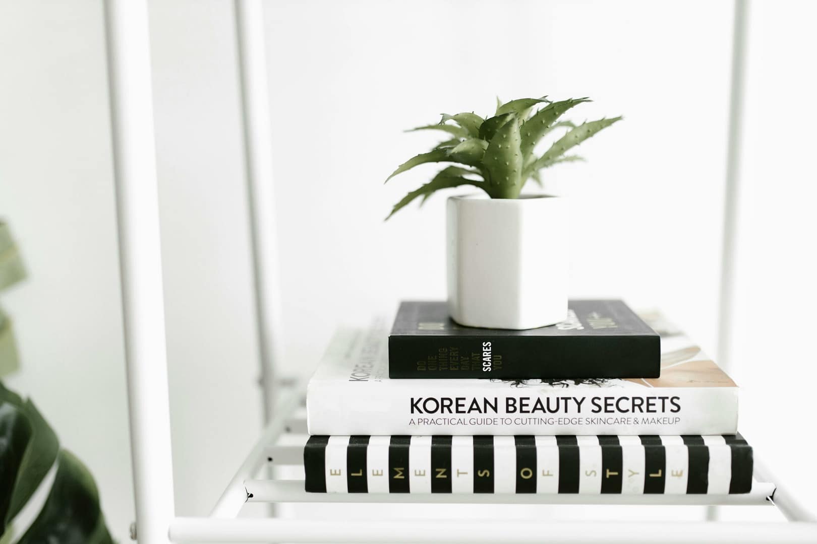 Feng Shui: Die Kunst der harmonischen Raumgestaltung für innere Balance und brachliegende Potenziale 6 Kostenloses Stock Foto zu bücher, grüne pflanze, haufen