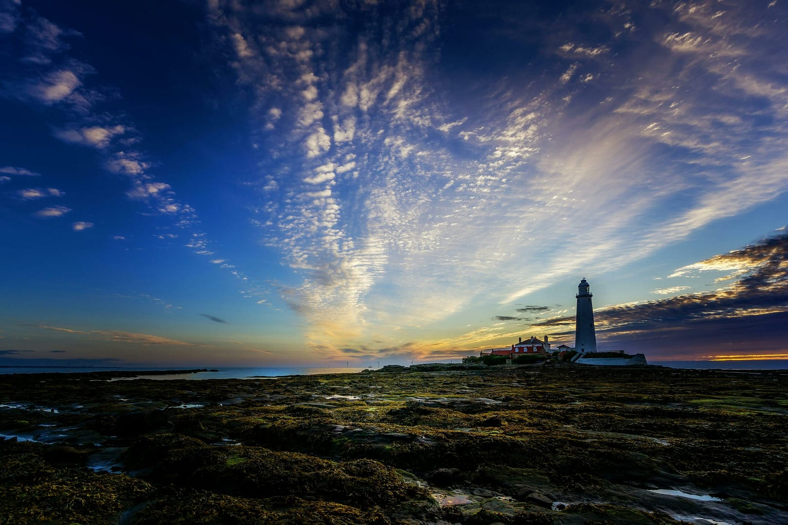 Frequenzmatten: Gesundheit und Wohlbefinden mit Infrarot 1 pexels photo 19191893 scaled