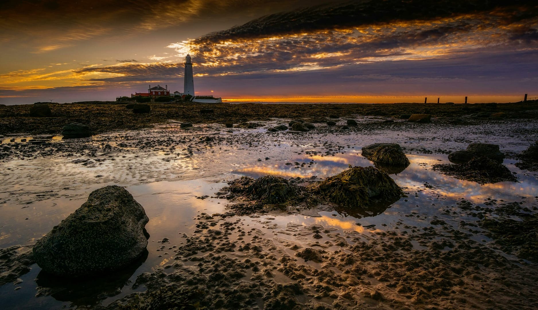 Die Kraft des Lichts: Biophotonen Lichttherapie und ihre heilende Wirkung 5 Kostenloses Stock Foto zu abend, außen landschaft, dämmerung